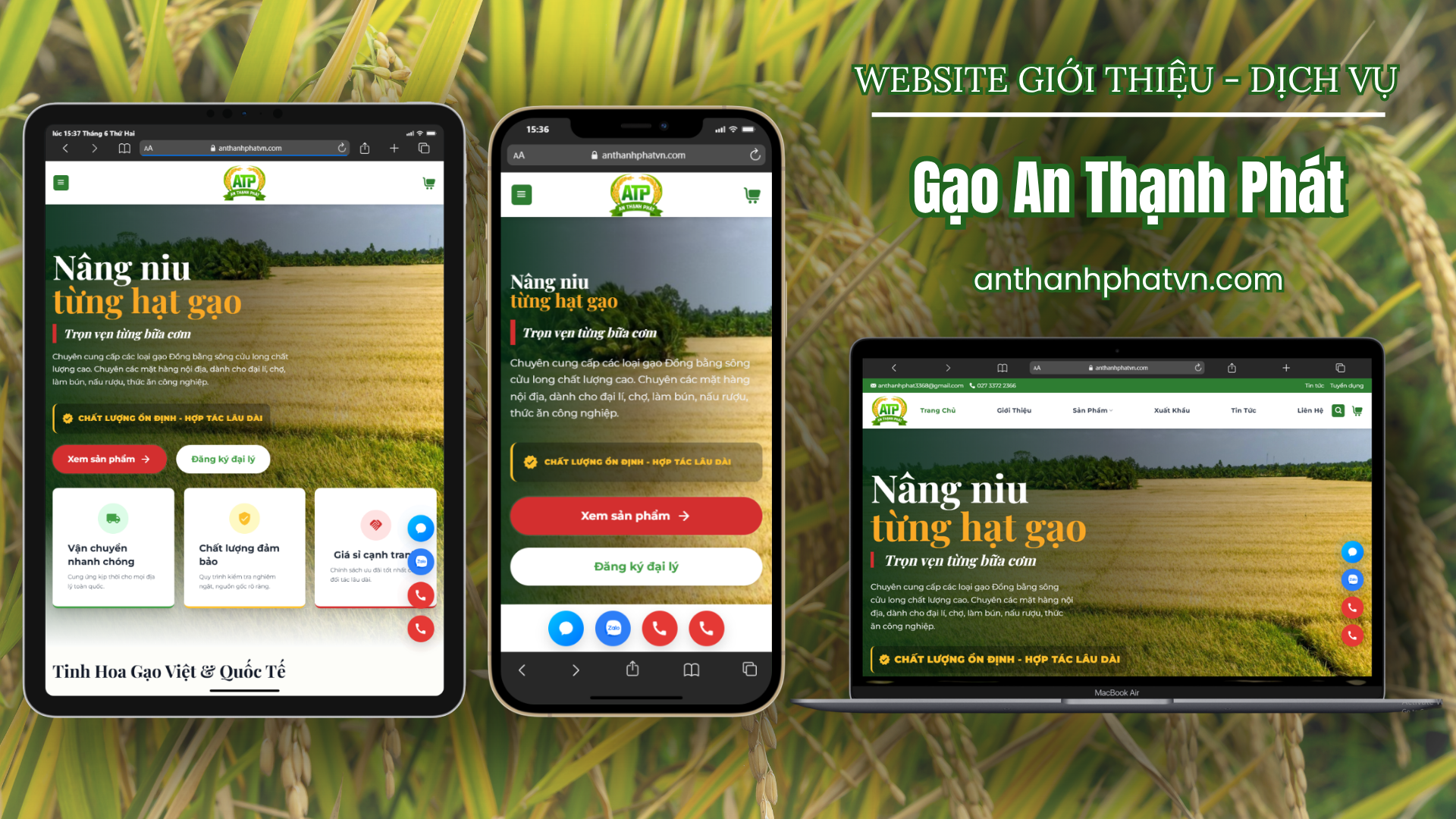 DỰ ÁN WEBSITE - GẠO AN THẠNH PHÁT