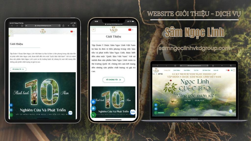 Thiết Kế Web Phường Trấn Biên